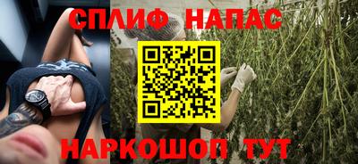 дмт Бийск